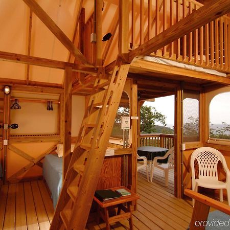 Concordia Eco Resort Pokoj fotografie
